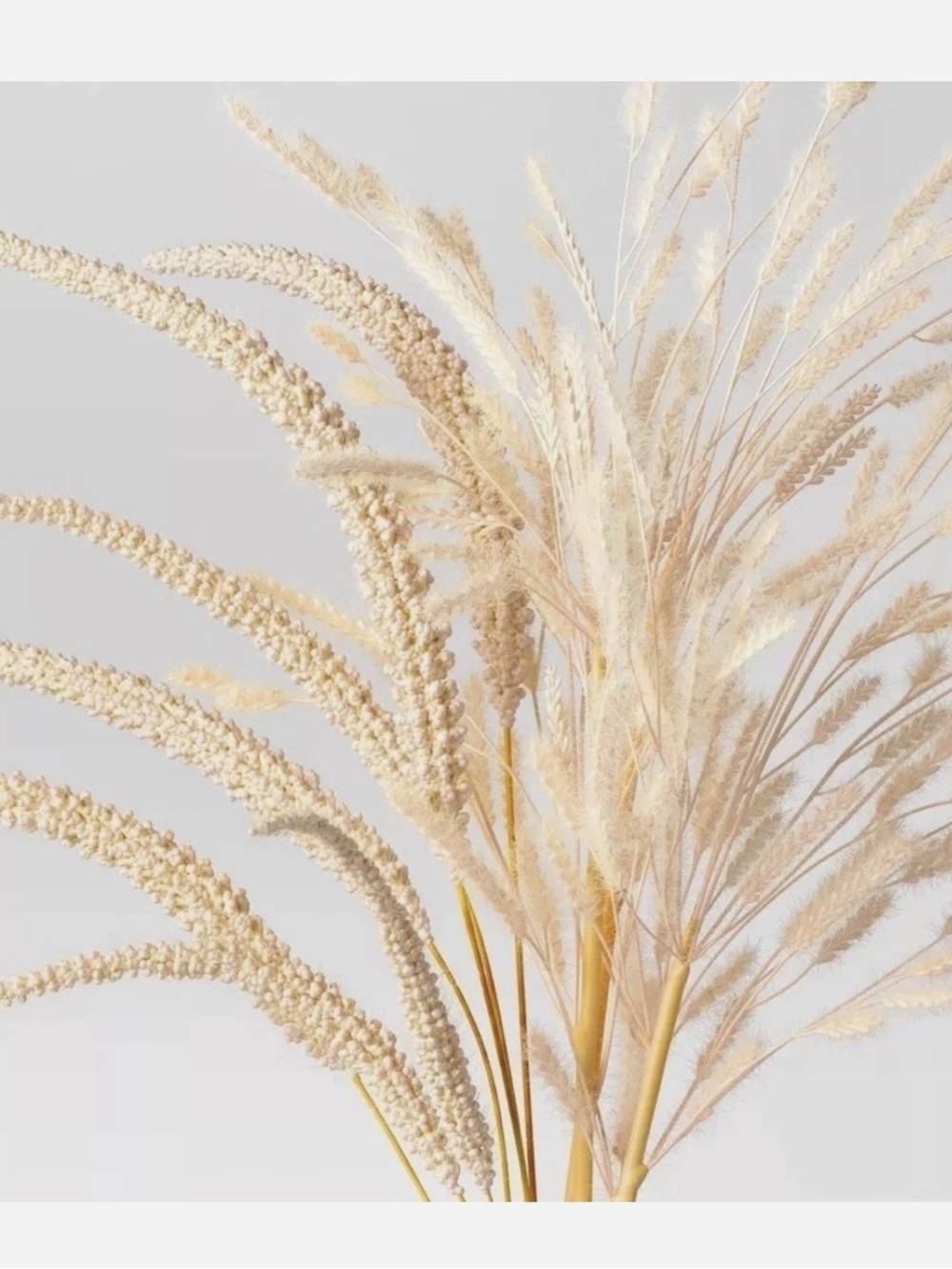NWT Threshold Wheat & Foxtail Luxe Pink Pampas Arrangement & Ceramic Vase - Picture 9 of 9